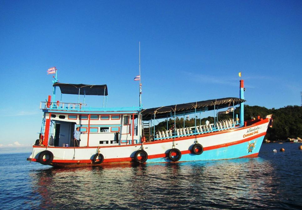 คาราบาว ไดฟ์ รีสอร์ท